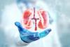 Scientists May Have Discovered How To Heal Damaged Kidneys