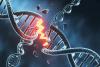 Japanese Researchers Unlock a Powerful New Way To Edit and Assemble DNA
