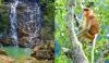 Malaysia’s Ultimate Rainforest Trail: 7 Ancient Forest Adventures for Your Next Escape