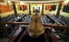 Egypt Approves New Stamp Tax Structure for Stock Market Trades