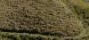 Protecting Bolivia’s forest watersheds with sustainable finance