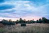 The SBTi’s new Ongoing Emissions Responsibility program: what it means for your climate strategy 