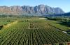 How To Explore Cape Town And Its Wine Lands In Style