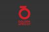 Inna Sahakyan and Ruben Ghazaryan`s film selected for Golden Apricot  International Competition