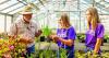 Tennessee Tech to launch online agribusiness degree pathway