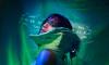 Australian queer artist Jamaica Moana brings stories of identity, inclusion to India during Pride Month
