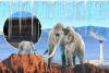 What To Know About North Las Vegas's Ice Age Fossils Center