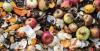 NGOs press COP31 to cut food waste