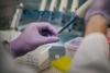 Washington and Pharma Are Helping China Win | Opinion
