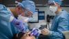 New public health alert issued for some UK workers during heatwave