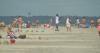 These Georgia beaches have elevated levels of fecal bacteria, state says