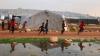 Over 13m acutely food insecure in Syria: UN