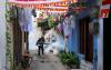 Military deployed in Sri Lanka to fight surging dengue outbreak