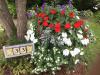 Patriotic Gardening  By  Nancy Taylor Robson