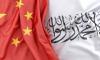 IEA deputy minister of industry arrives in China to attend China–Eurasia Expo 2026