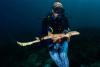 Scientists identify New Walking Shark Species With Morse Code-like Markings