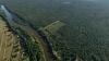 New analysis breaks down 2025 Amazon deforestation, with good news and bad news