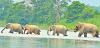 60 per cent of total foreign tourists visit Nepal's national parks, conservation, reserve areas