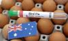 Australia intensifies bird flu monitoring efforts