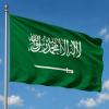 Business License in Saudi Arabia: Types and Requirements