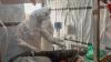 First Ebola case confirmed in France, health ministry says