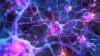 Gene Therapy Trial Targets Seizures That Medicine Can’t Stop