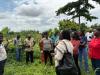 Women safeguard biodiversity as Ghana loses indigenous species 