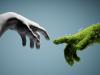 IATA Alliance strengthens CORSIA carbon credit supply