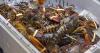 Nova Scotia launches three-year plan to expand its $2.2-billion seafood industry