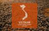Vietnam Coffee Report: Production Rising for Third Straight Year
