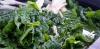 Reclaiming Our Local Food System: Role of Planning in Rhode Island Food Security