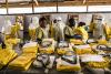 Distrust, Political Violence, and False Narratives Harm Ebola Relief Efforts