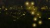 3 new firefly species discovered at Bernheim Forest in Kentucky | Why 2 of them don't glow
