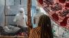 US releases experimental Ebola drug for DR Congo outbreak trials
