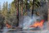 Greek Wildfire Readiness Still Bears the Cost of Austerity