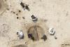 Were Vikings Really ‘Uncivilized’ Barbarians? Large Textile-Production Site Discovered in Denmark Challenges That Stereotype