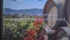 How Wine Became Nairobi’s New Social Language