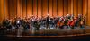 World-class musicians join MostArts’magic