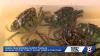 Portland summit targets Maine’s Green Crab problem