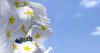Rhode Island sets new capital and governance rules for big nonbank servicers