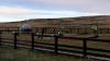Sapper Hill Playpark Development Funded By New Falklands Charity