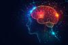 Scientists discover how the brain…