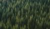 MERIT Enforcement: What Maine Businesses Need to Know