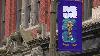 World Cup crowds bring economic boost, global celebration to Seattle