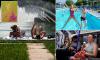 It's hotter than 1976! Records broken as UK boils in 36.1C on warmest June day EVER with extreme heat conference cancelled, water parks shut and 1,000 schools closed