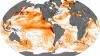 Pacific Islands brace for major El Nino