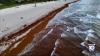Officials search for solutions to ongoing problem of sargassum