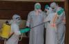 France confirms Ebola virus in patient who worked as doctor in Democratic Republic of the Congo