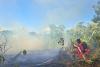 High transboundary haze risk puts Indonesian policy to test: Report