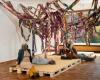 Ugandan fibre artist Acaye Kerunen stages Apoi at Kunstmuseen Krefeld